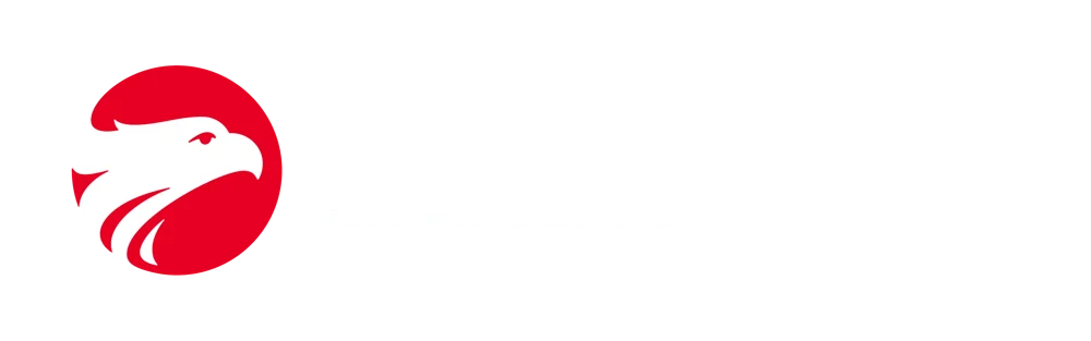 Wizard by Pearson